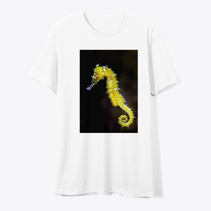t shirt woman