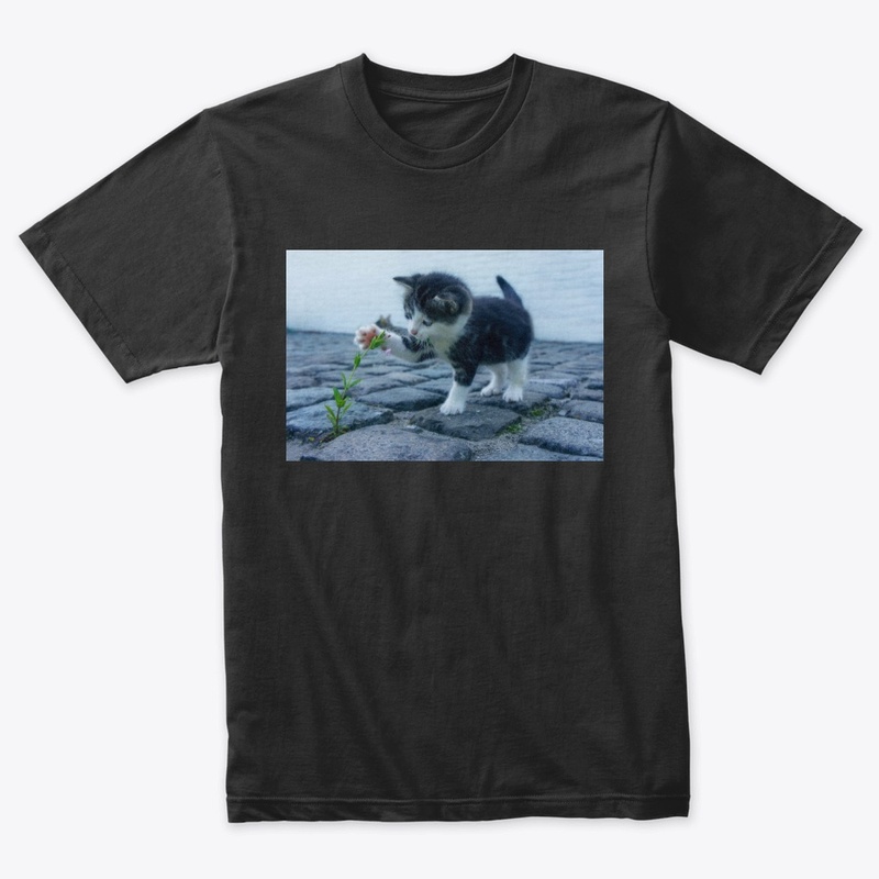 love cats 