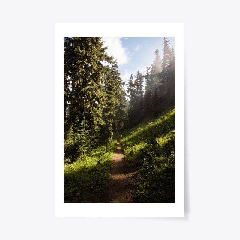 Spotted Trail