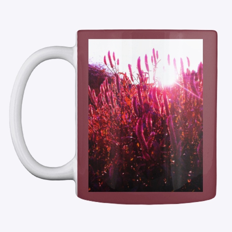 Pink Fountain Grass at Sunset