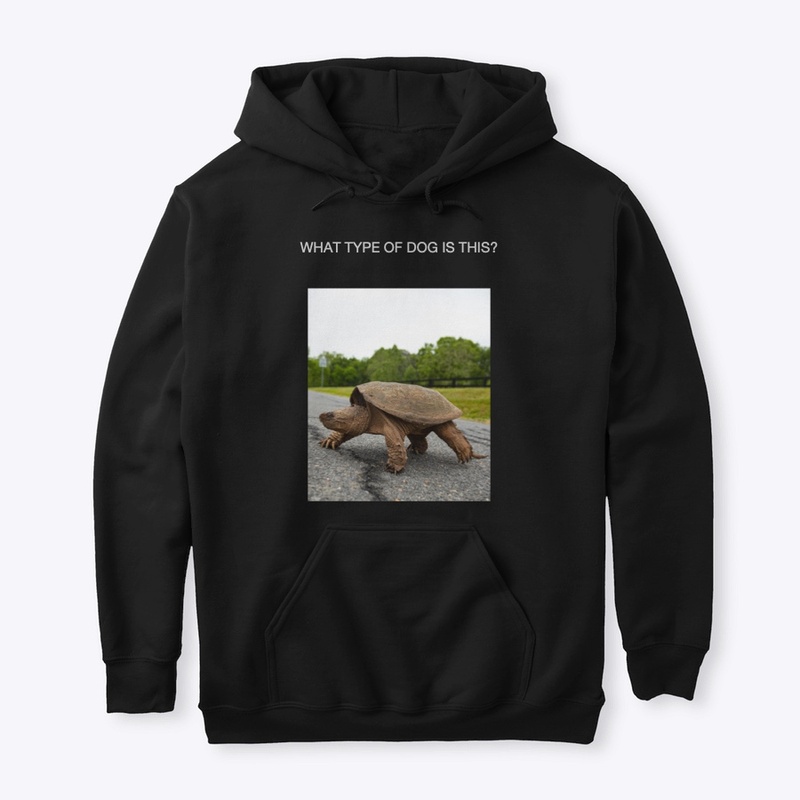 TORTOISE DESIGN/HUMOUR