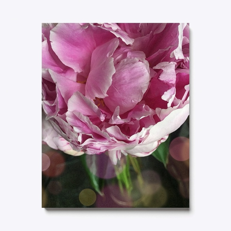Spring Peonies