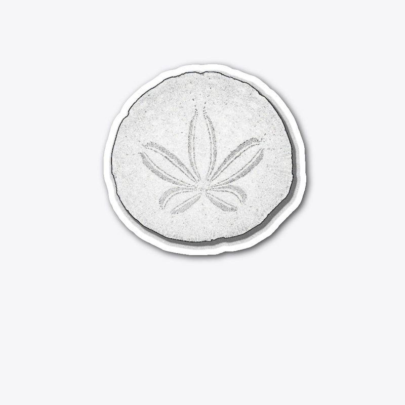Sand Dollar Graphic Design