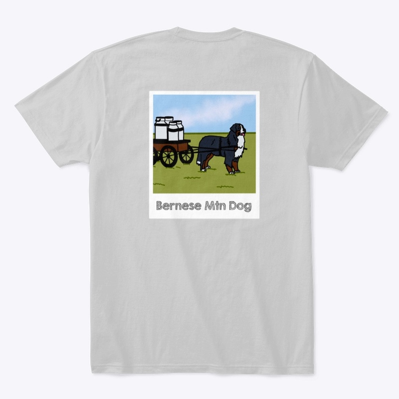 Art and History- Bernese