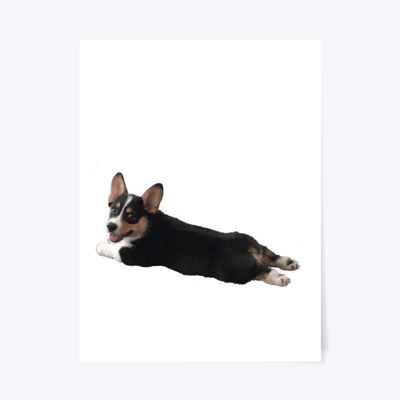 Splootin'