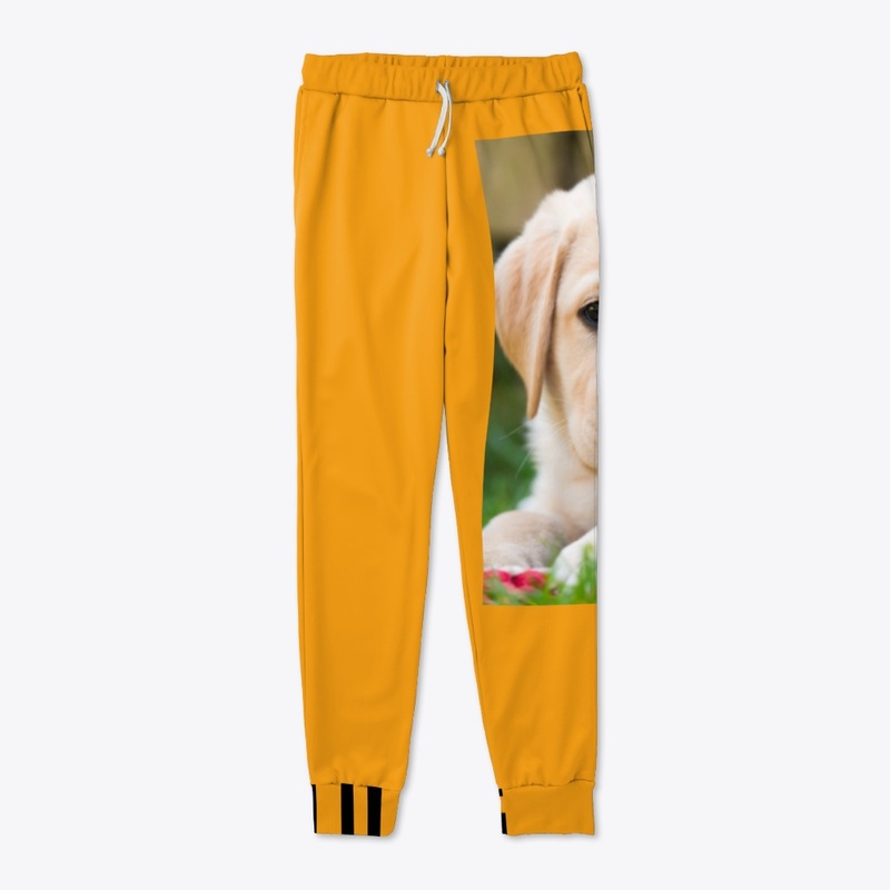 Cute dog