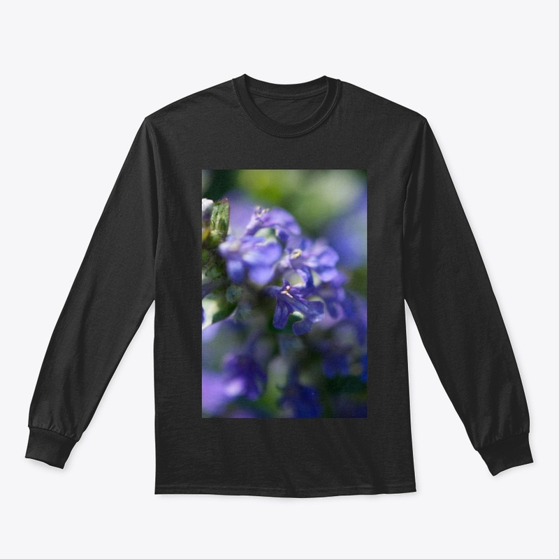 Blue and purple flowers in nature