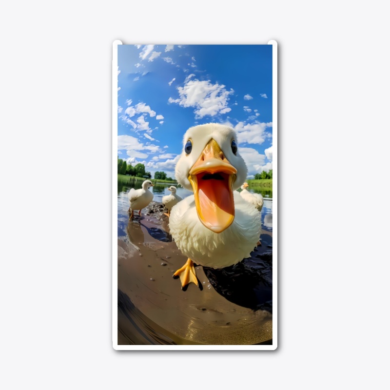 Cute Duck, Adorable Pet