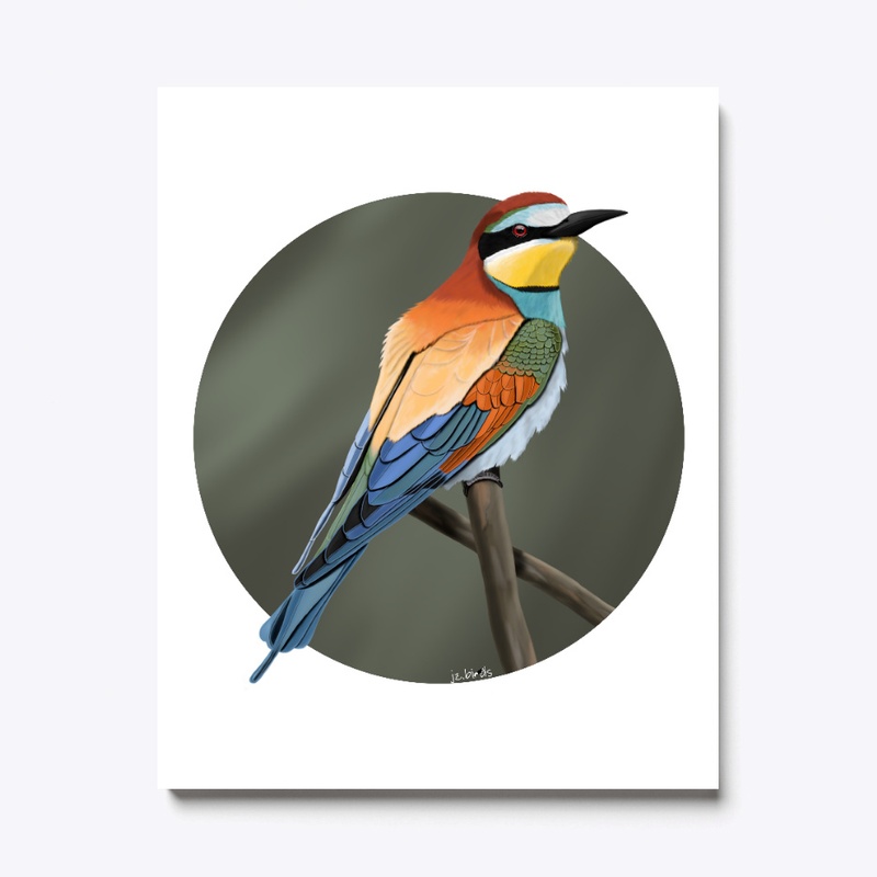 jz.birds Bee-Eater Bird Illustration