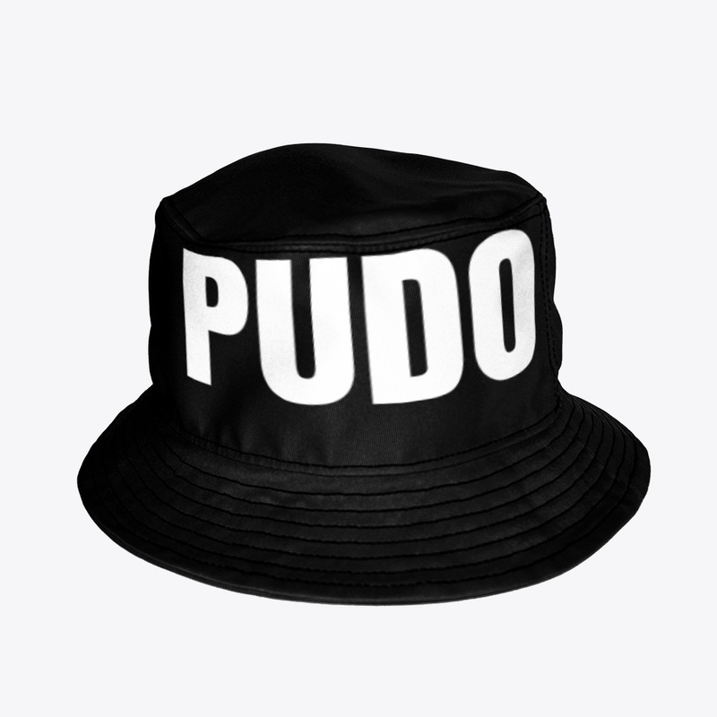 Pudo