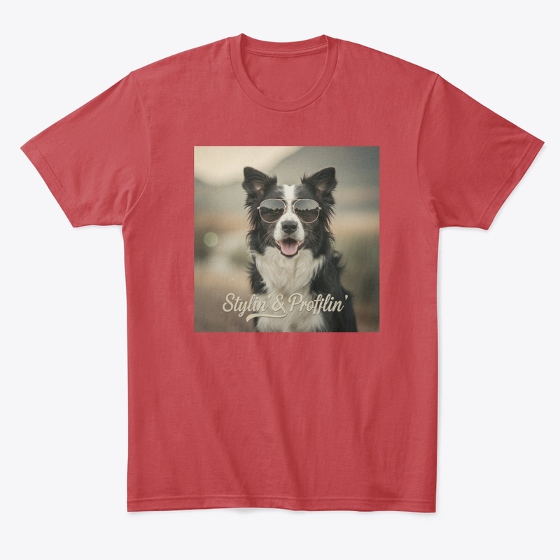 Stylin' & Profilin' Border Collie