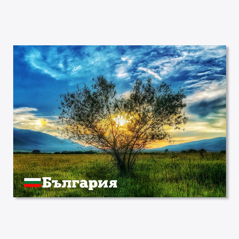 Bansko, Bulgaria -sunset tree