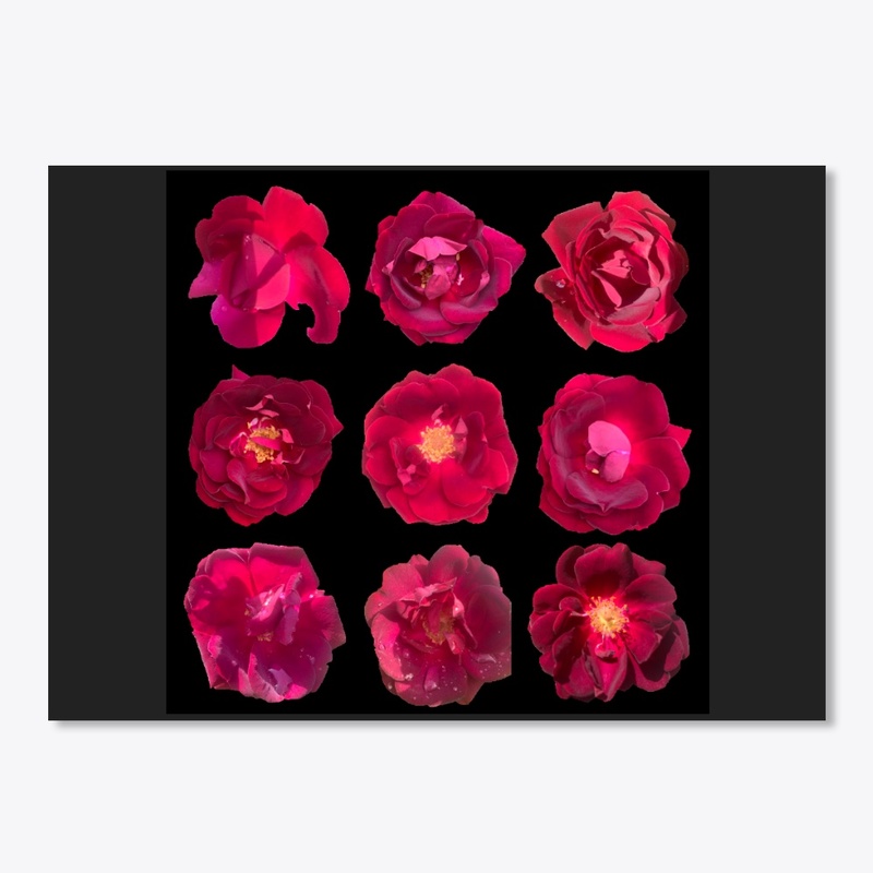 Roses Sqaured 2x
