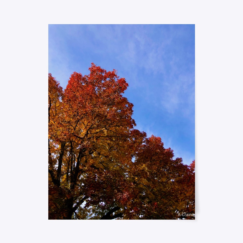 Fall Gradients
