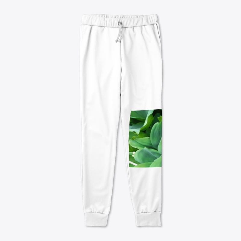 Lily of the Valley
