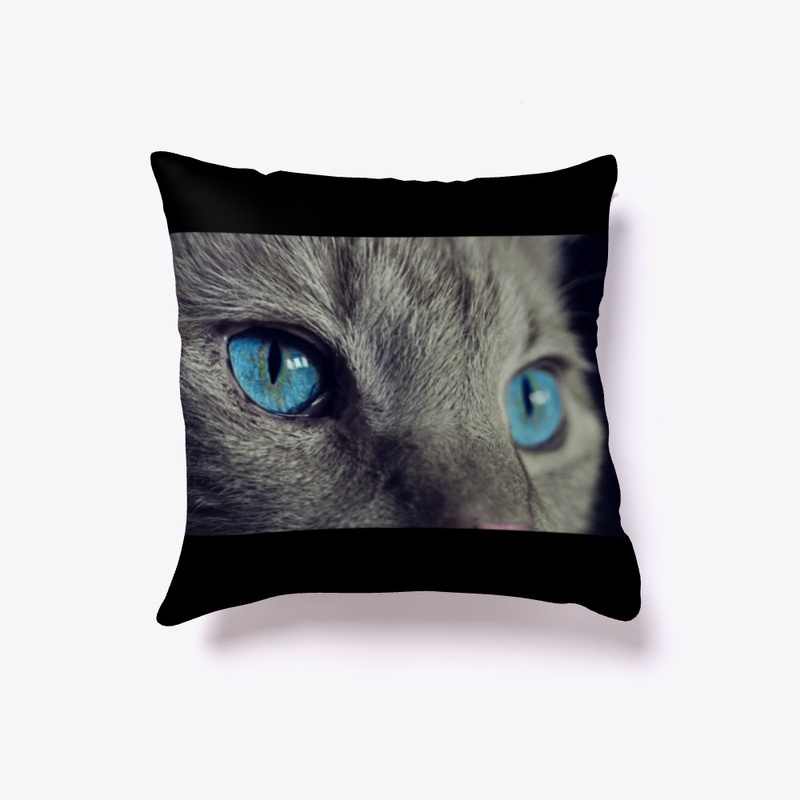 indoor pillow
