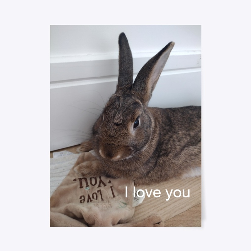 Pom Pom I love you - Poster