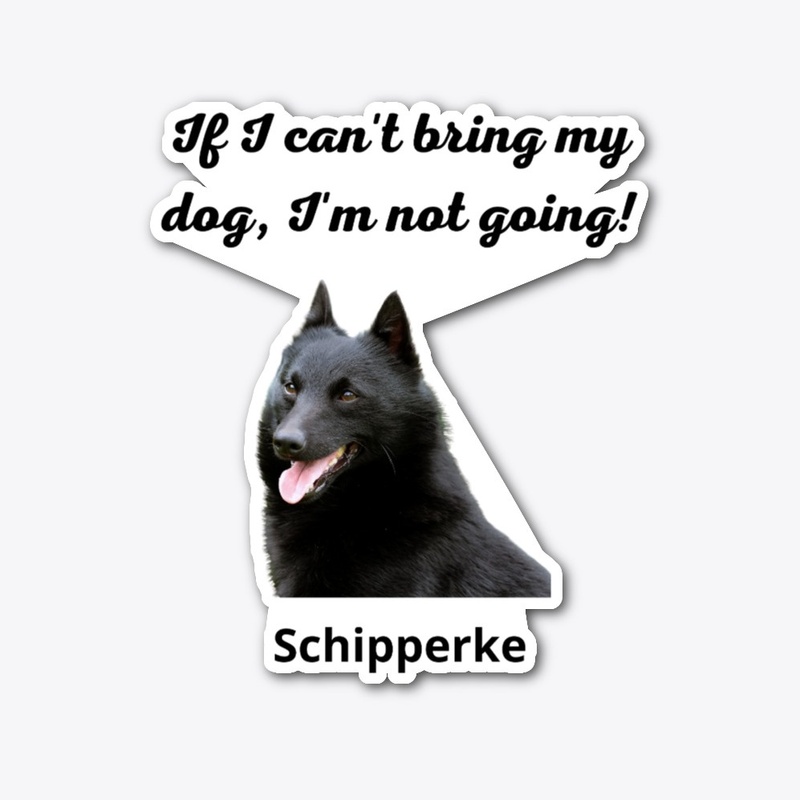 Schipperke