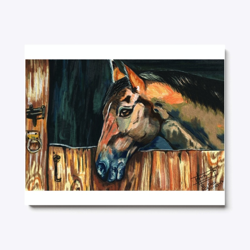 Tied Horse