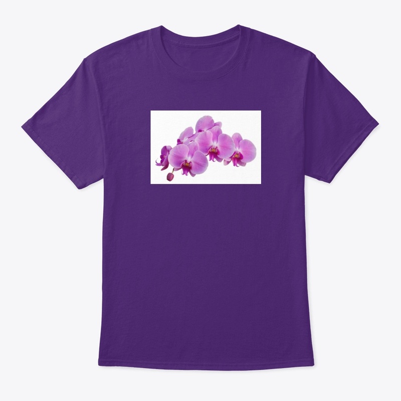 Women's Everyday Tees and Hoodies
