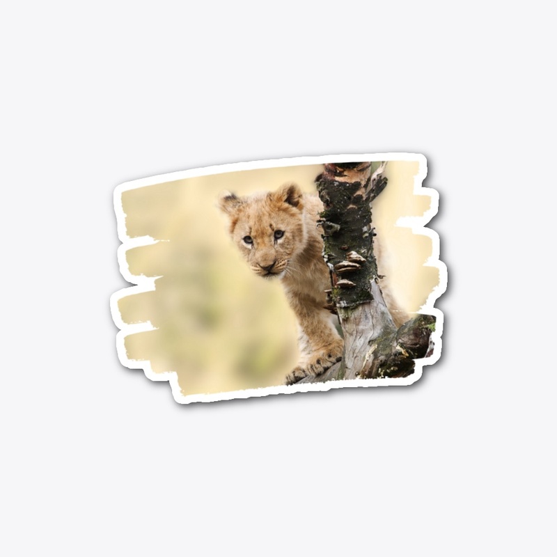 Baby Lion Cub