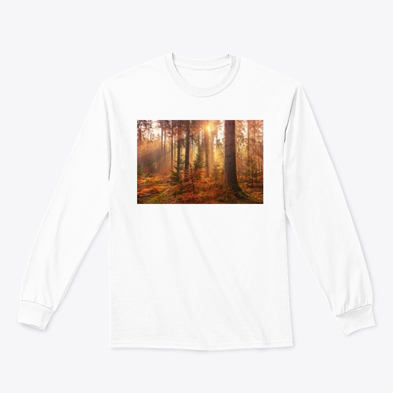 Value12 Sunshine in the forest