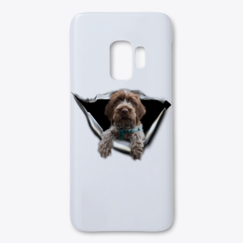Wirehaired Pointing Griffon