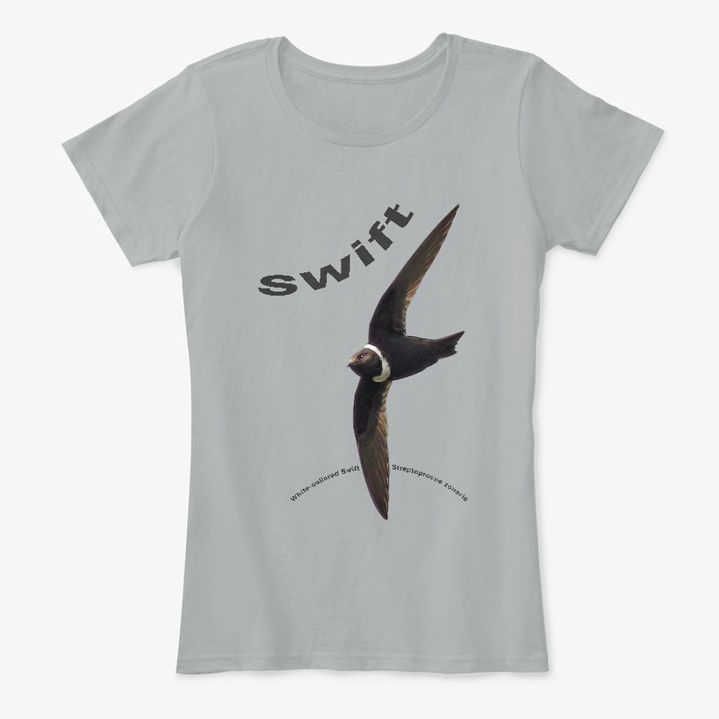 White-collared Swift
