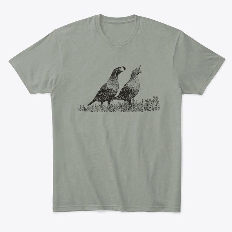 California Quail Birdwatching