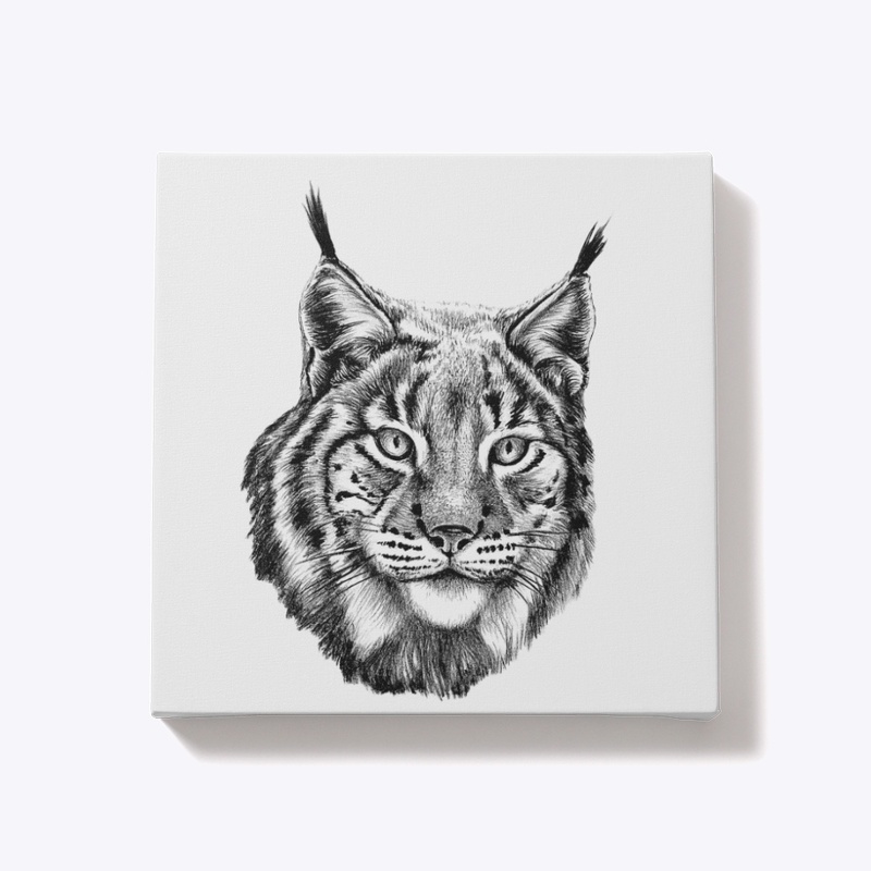 Lynx on white