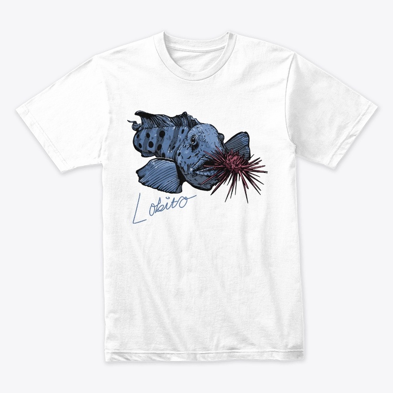 Lobito the Wolf Eel