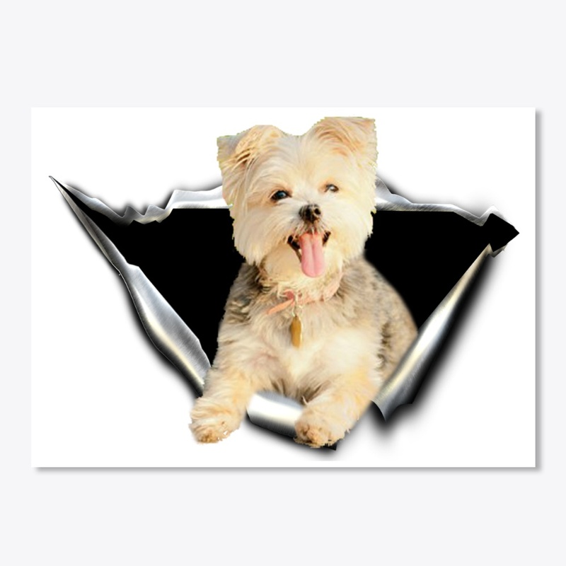 morkie 3D Car sticker