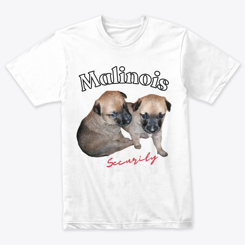 cute Malinois puppies