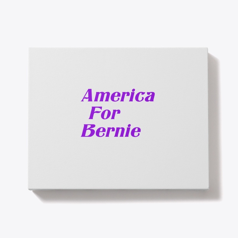 For Bernie Sanders 
