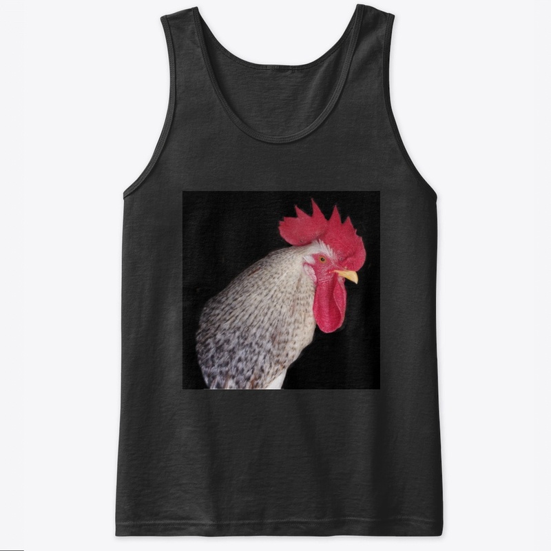 rooster2