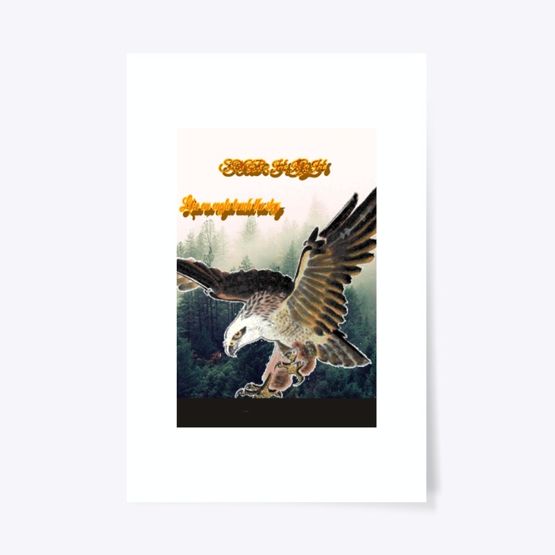 fly eagle