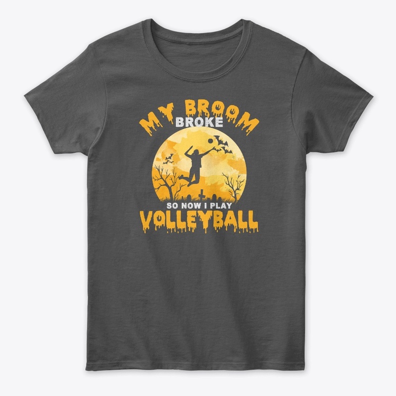 My Broom Broke so I play Volleyball