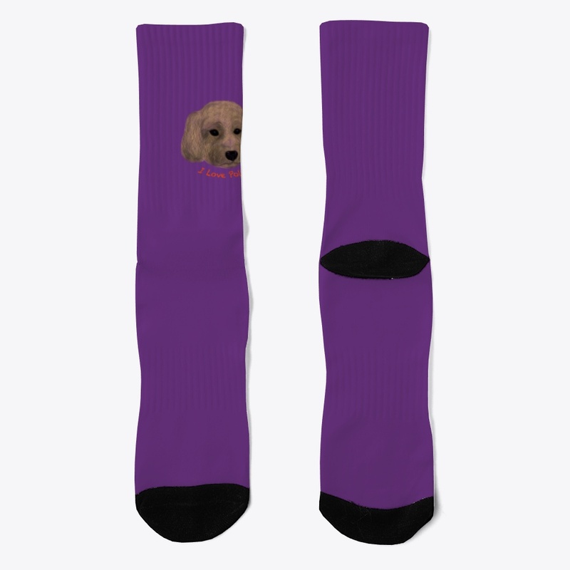 I love Polly Cavapoochon