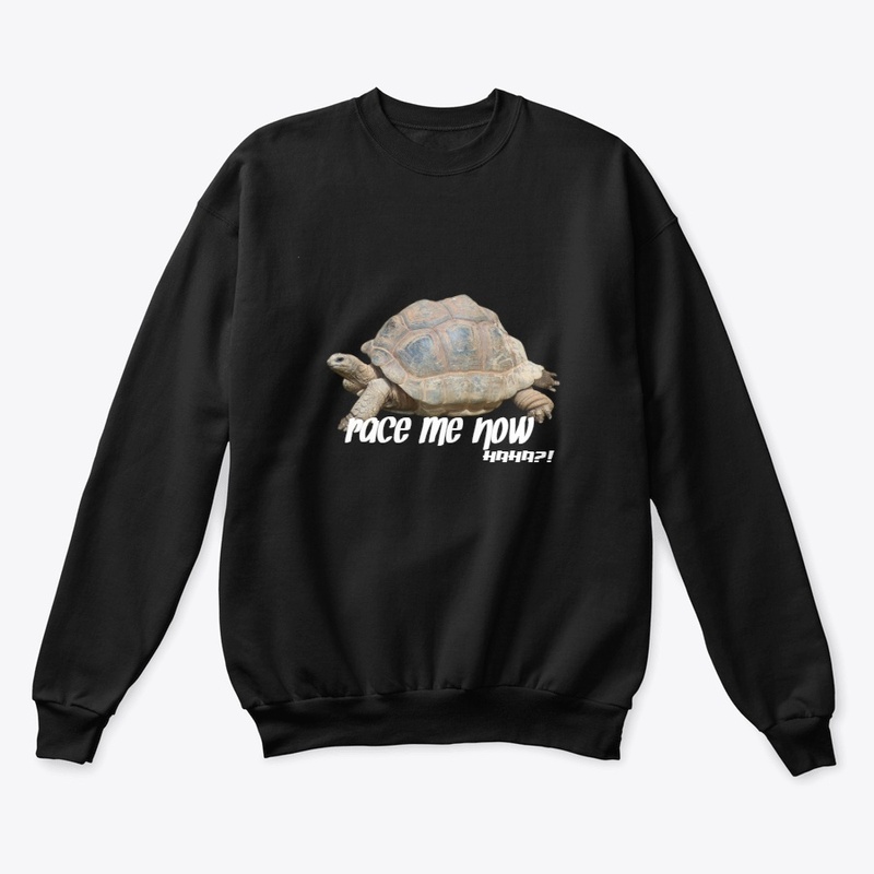 Tortoise race me now 