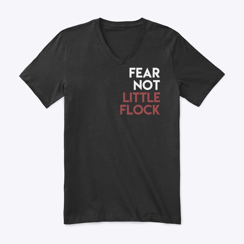 Fear Not Little Flock II