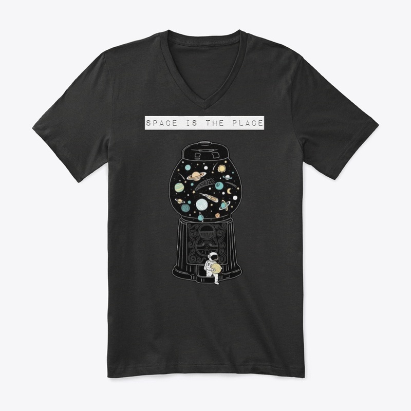 space is the place craft astronaut