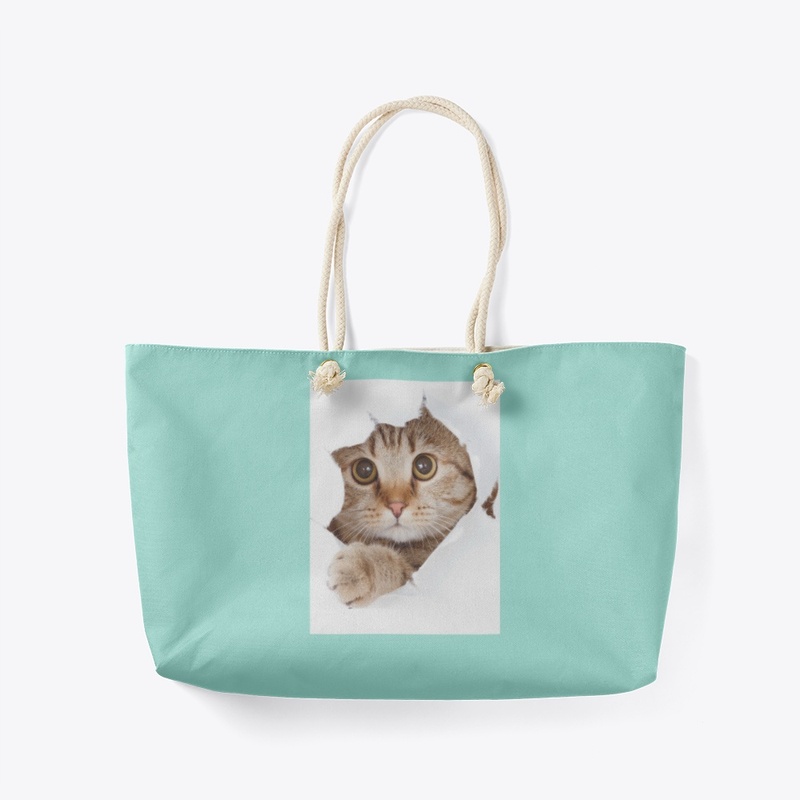 Cat design bag