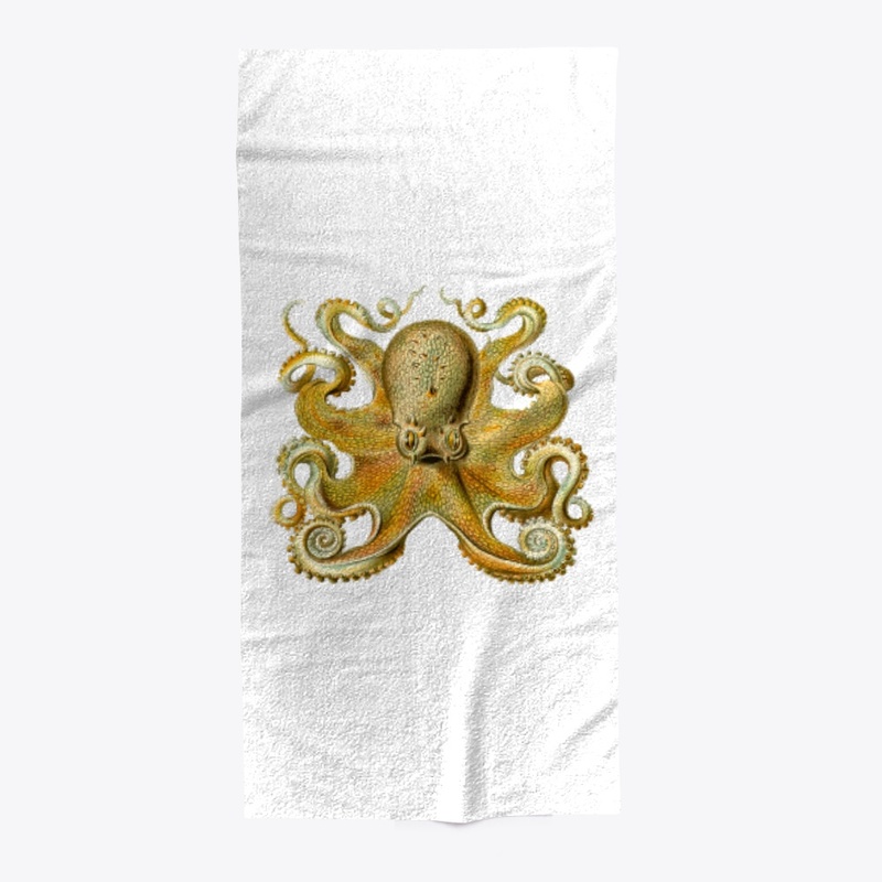 Sprawling Octopus by Ernest Haeckel