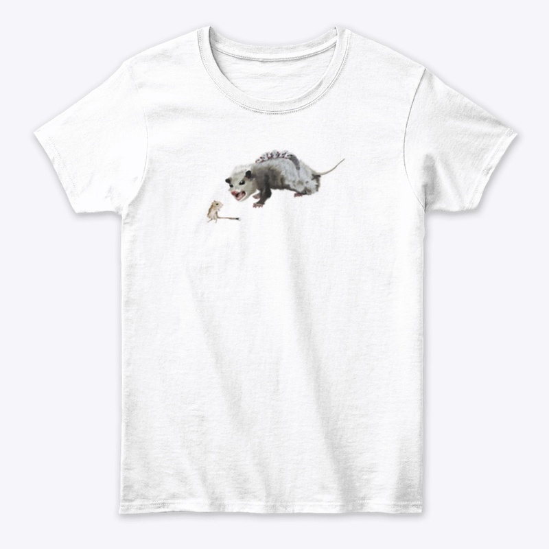 Opossum Mom & Rocket