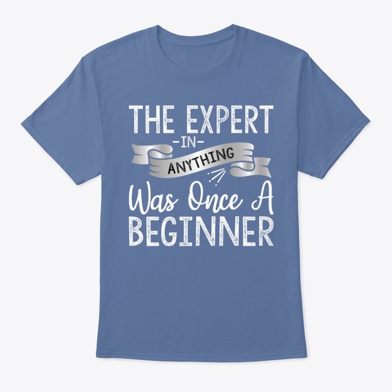 Experts begin as beginners