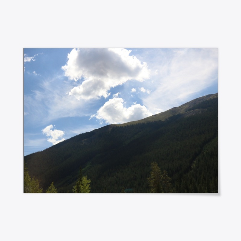 Colorado 8