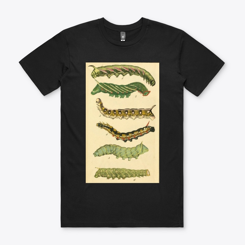 Caterpillars