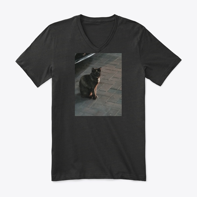 Cats lovers 2020