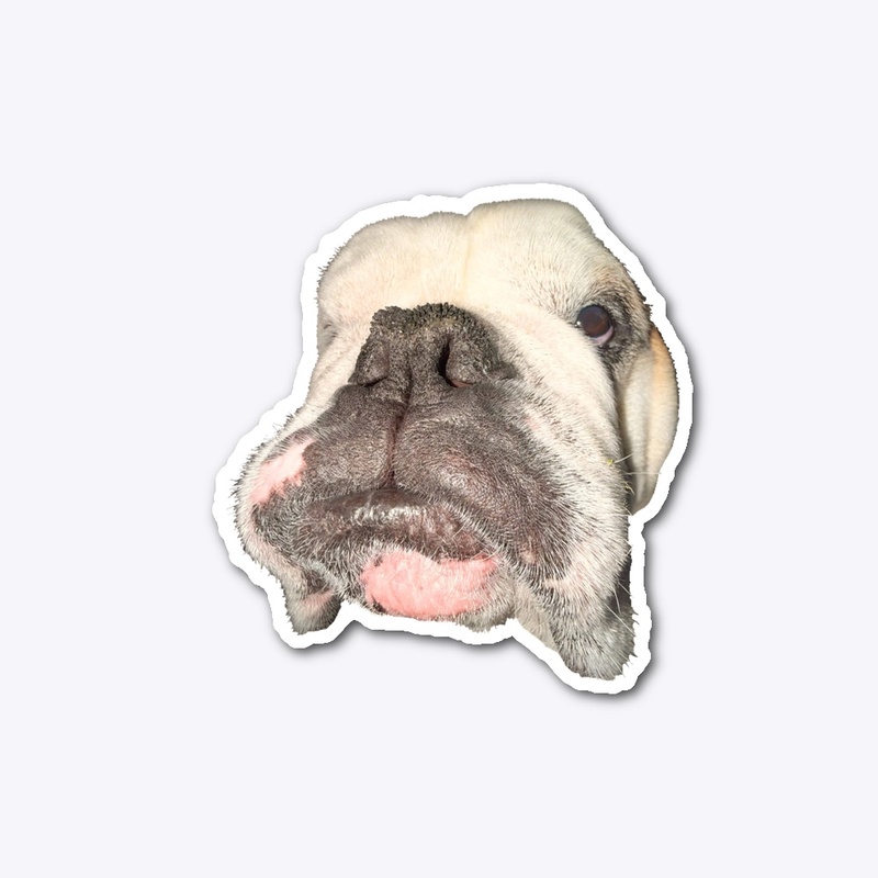 otisgd sticker