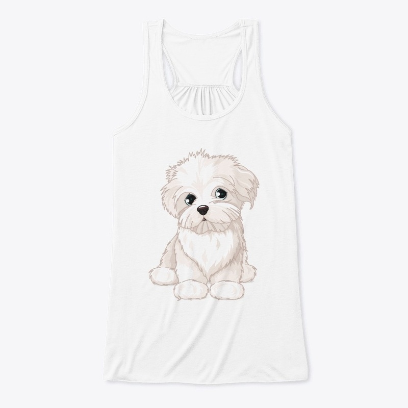 Cute Maltese